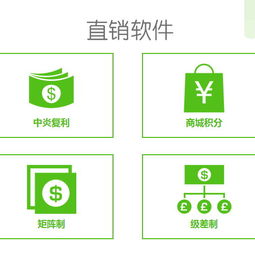 完美主义直销软件 系统开发与双轨制互助盘的创新融合