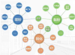 淘宝托管店铺如何以产品差异化驱动软件开发与销售增长