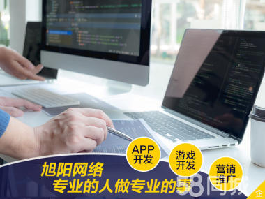 软件与网站开发 从系统到游戏的全景解析